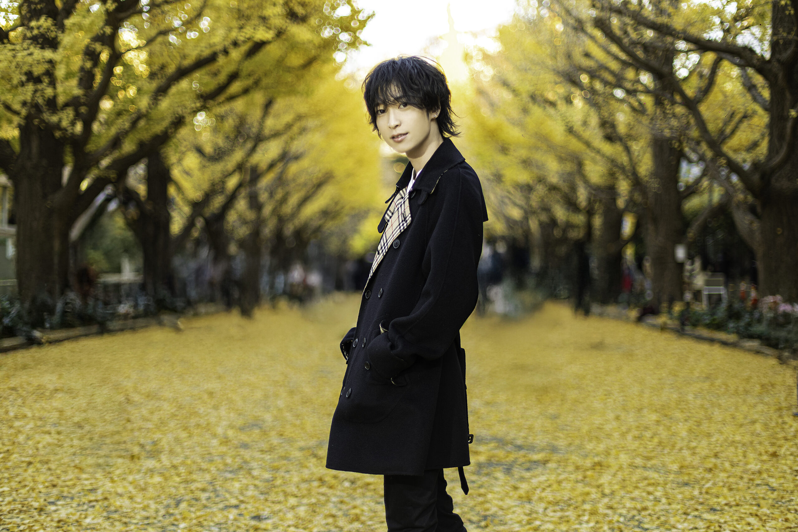 ノア | エルコレ公式サイト｜東京/大阪/名古屋を中心に全国40店舗を