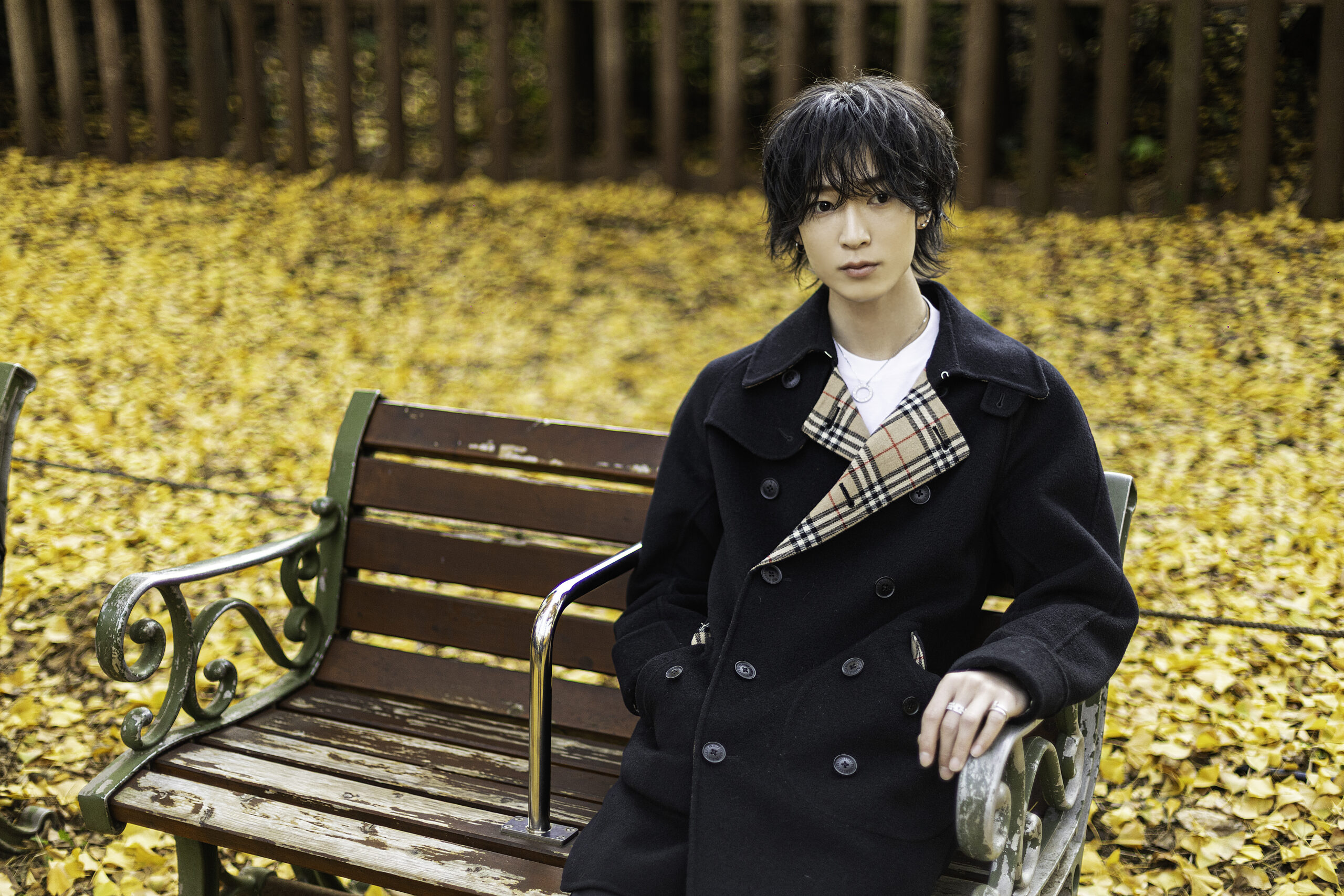 ノア | エルコレ公式サイト｜東京/大阪/名古屋を中心に全国40店舗を